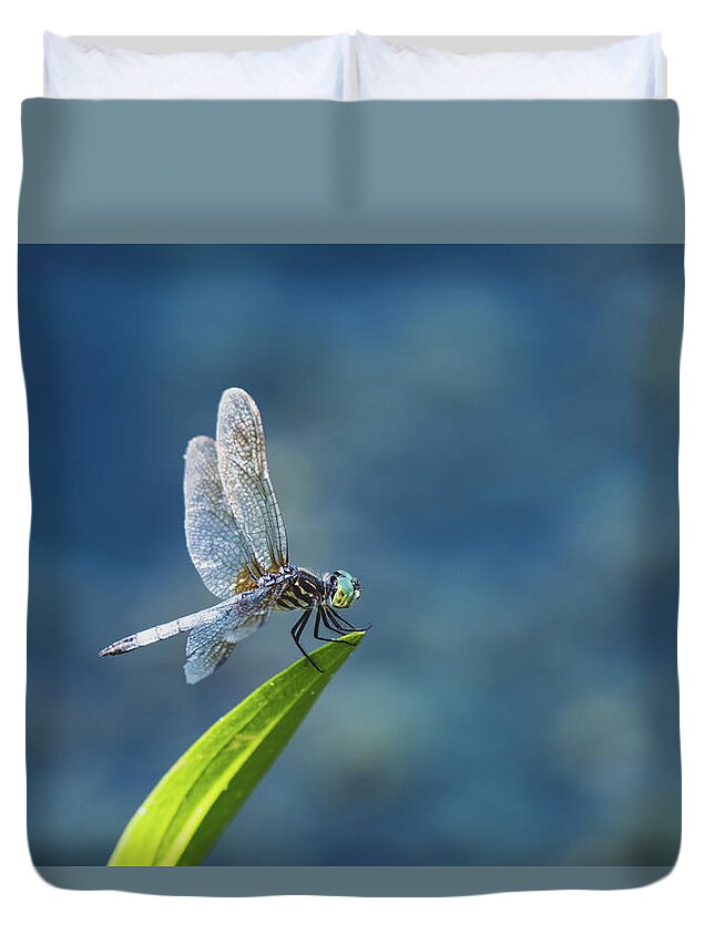 Dragonfly Duvet Cover featuring the photograph Delicate Beauty by Rose Guinther