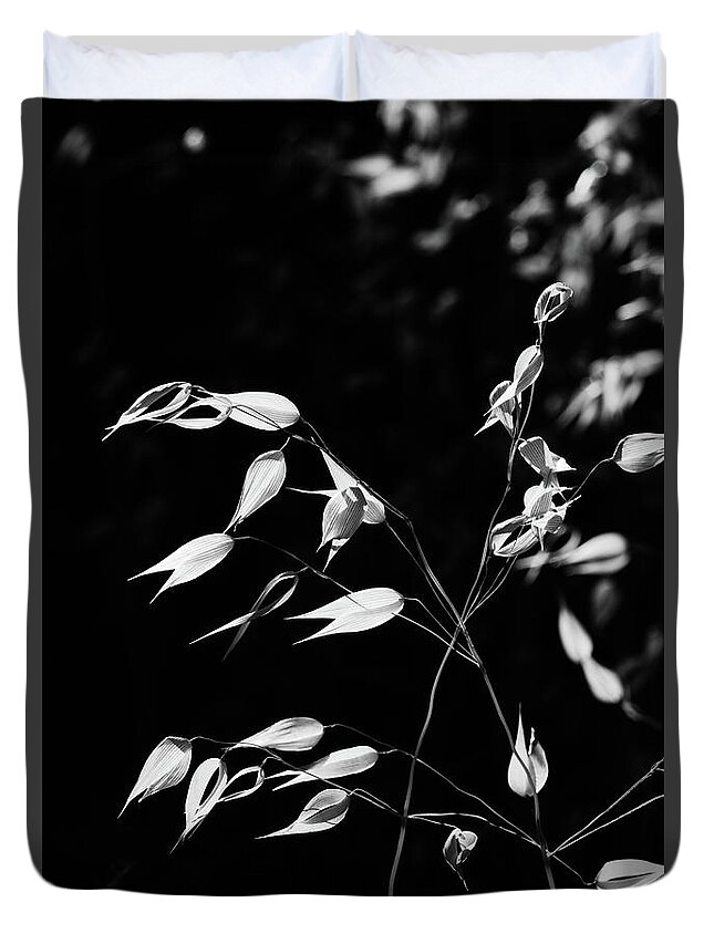 Delicate Duvet Cover featuring the photograph Delicate by Gary Browne