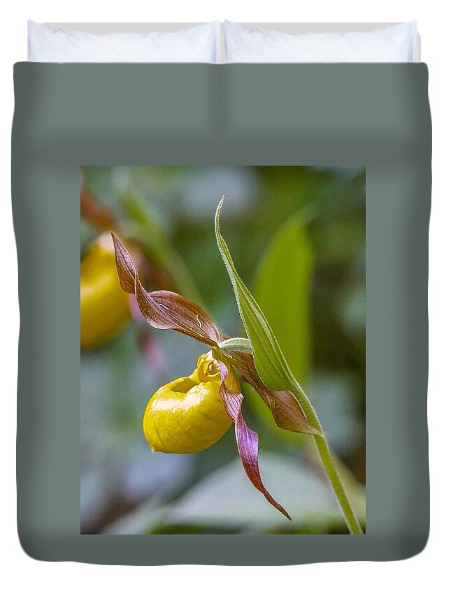 Flower Duvet Cover featuring the photograph Delicate Yellow Lady's Slipper by Susan Rydberg