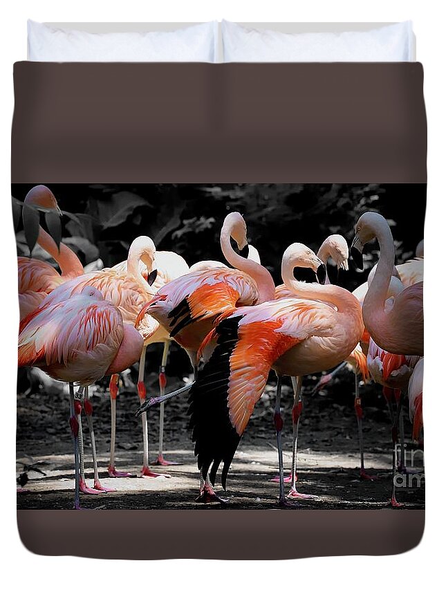 Flamingo Duvet Cover featuring the photograph Denver Zoo Flamingo by Veronica Batterson