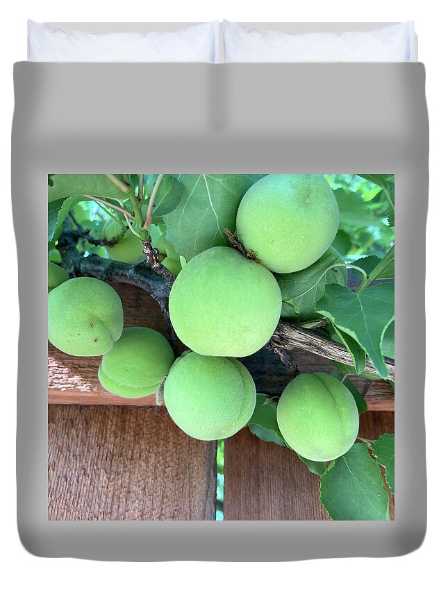 Apricot Duvet Cover featuring the photograph Dependability by Shannon Grissom