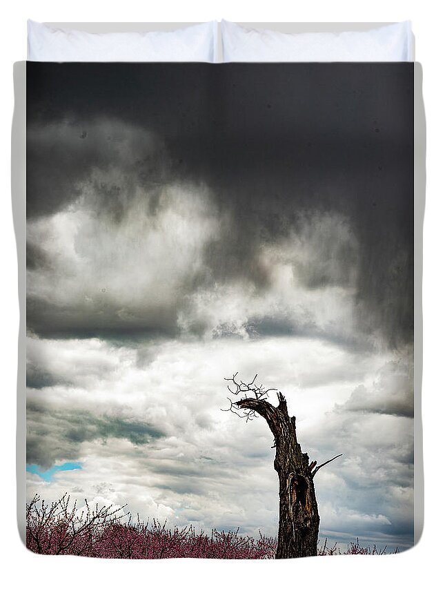 Clouds Duvet Cover featuring the photograph Descending by Marilyn Cornwell
