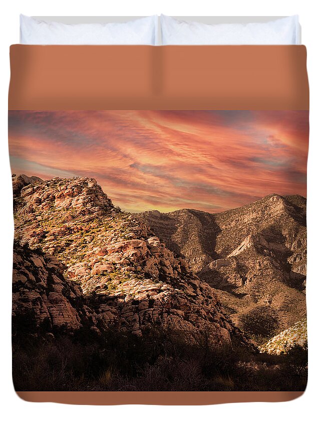 Nature Duvet Cover featuring the photograph Desert Colors Spring Mountains by Frank Wilson