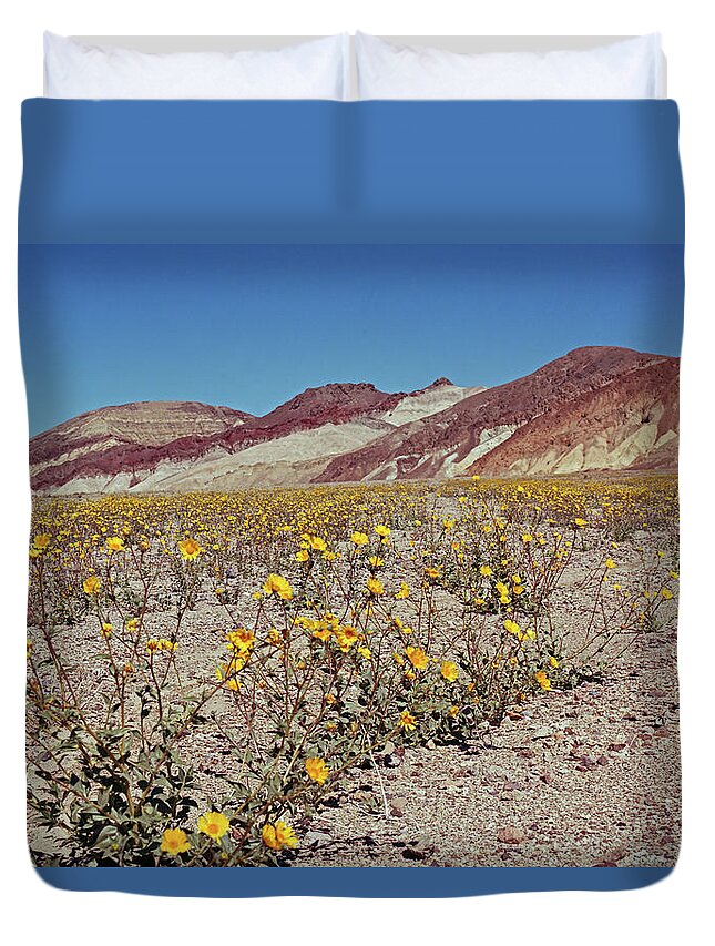 Tom Daniel Duvet Cover featuring the photograph Desert Gold Super Bloom by Tom Daniel