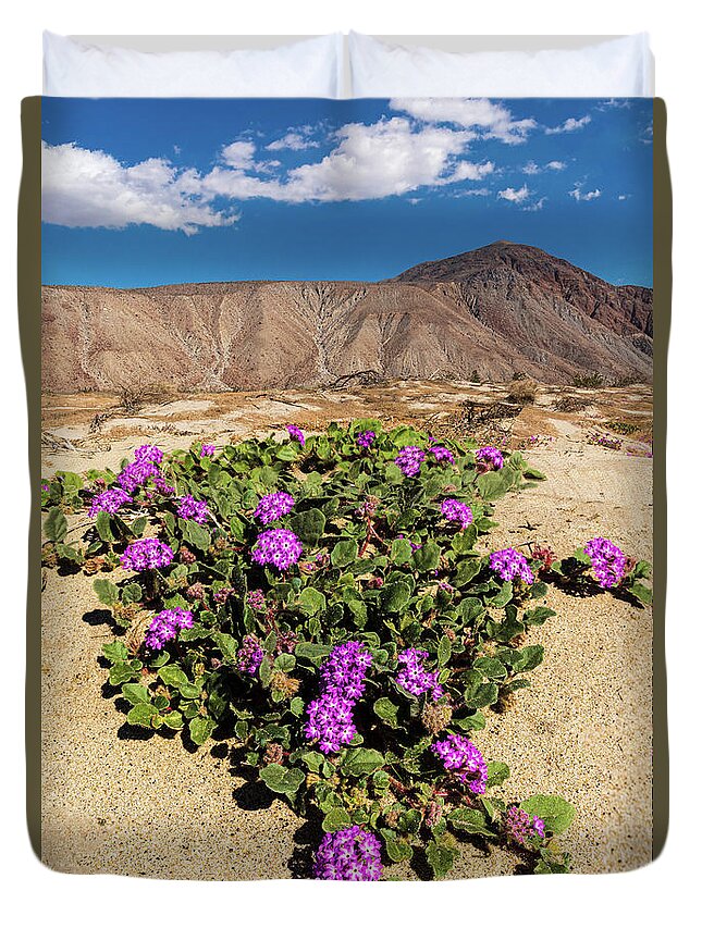 Anza - Borrego Desert State Park Duvet Cover featuring the photograph Desert Sand Verbena by Peter Tellone