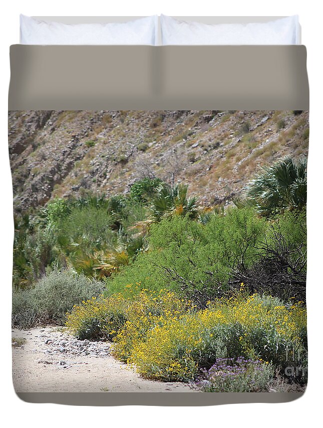 Desert Oasis Duvet Cover featuring the photograph Desert Scene 3 Coachella Valley Wildlife Preserve by Colleen Cornelius