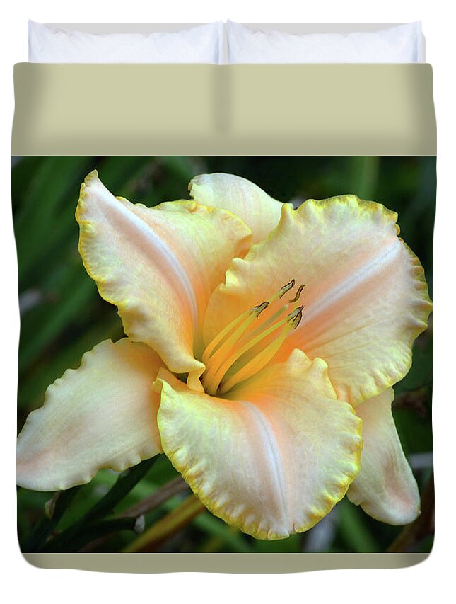 Daylily Duvet Cover featuring the photograph Desirable Daylily. by Terence Davis