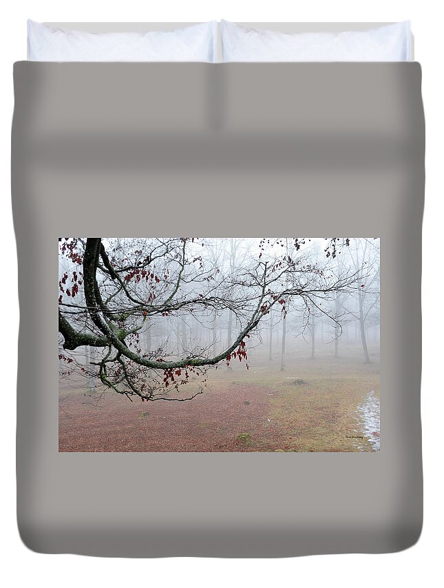 Fog Duvet Cover featuring the photograph Details from Viking Land by Randi Grace Nilsberg