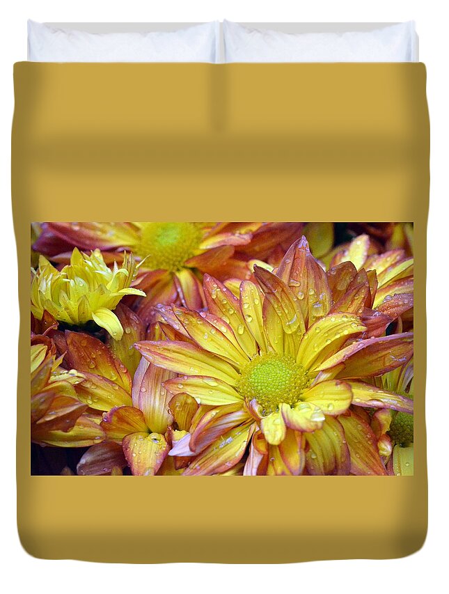 Daisy Duvet Cover featuring the photograph Dewy Pink and Yellow Daisies 2 by Amy Fose