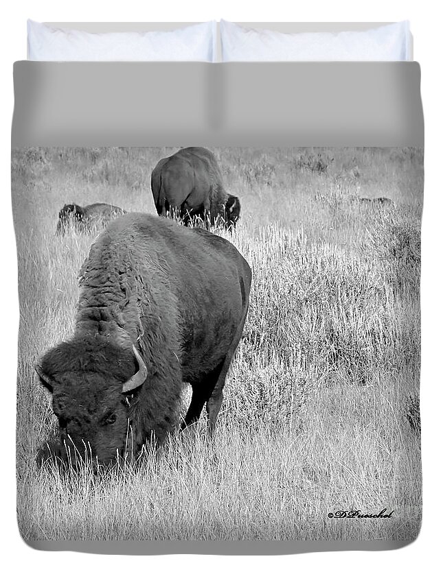 Buffalo Duvet Cover featuring the photograph Dinner TIme by Debby Pueschel
