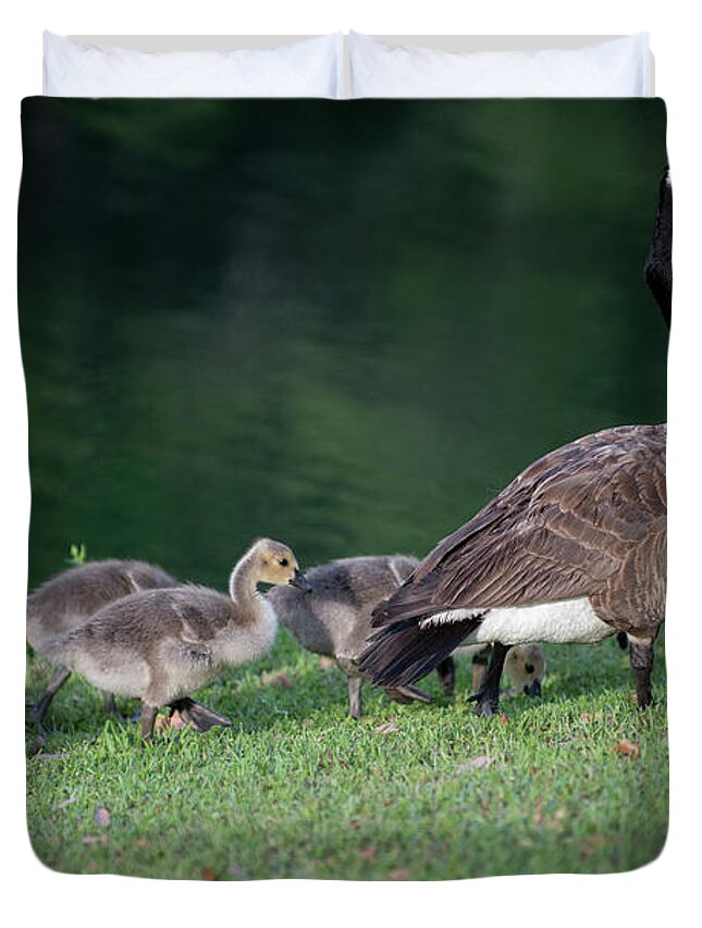 Goose Duvet Cover featuring the photograph Dinner Time - Furry Babies by Dale Powell