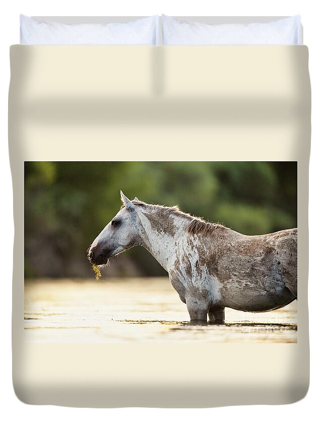 Salt River Wild Horse Duvet Cover featuring the photograph Dirty Horse by Shannon Hastings