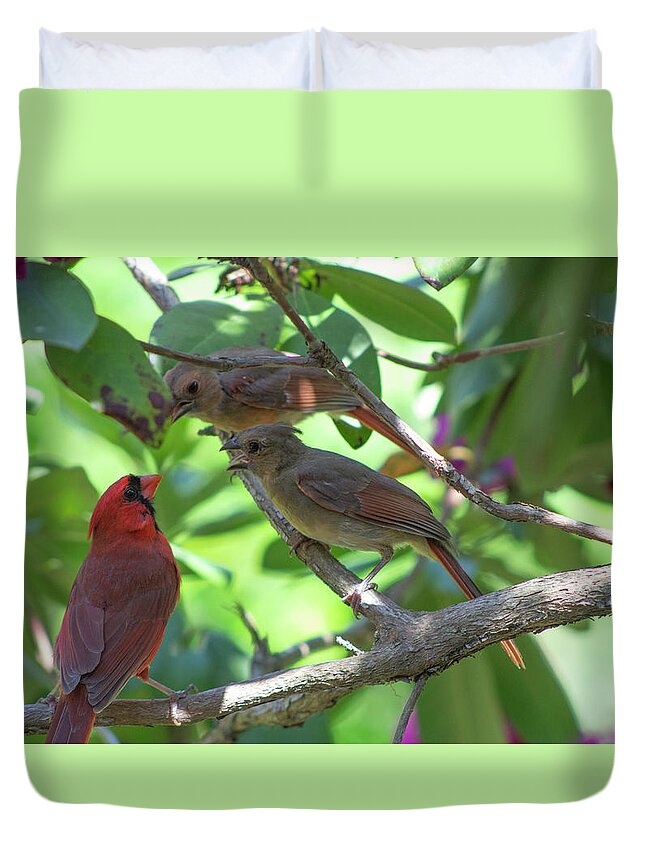 Bird Duvet Cover featuring the photograph Discussion by Geoff Jewett