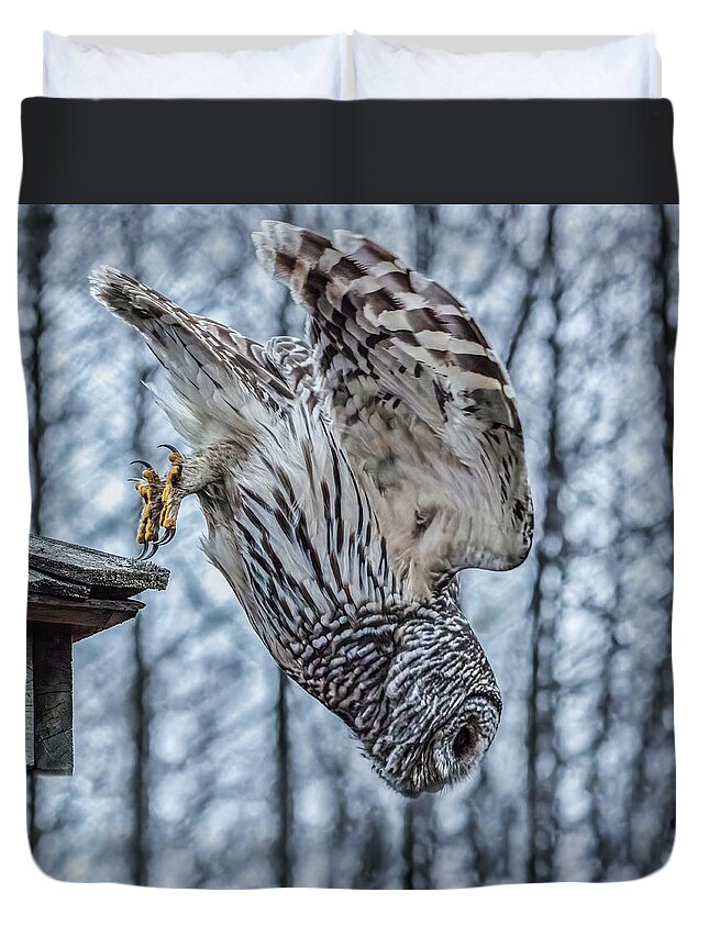 Barred Owl Duvet Cover featuring the photograph Dive by Brad Bellisle