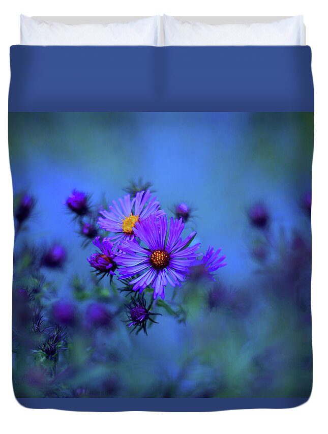 Asters Duvet Cover featuring the photograph Moonlight Asters by Jessica Jenney