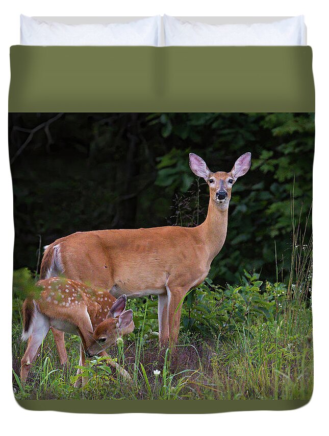 Deer Duvet Cover featuring the photograph Doe and Fawn by Linda Shannon Morgan