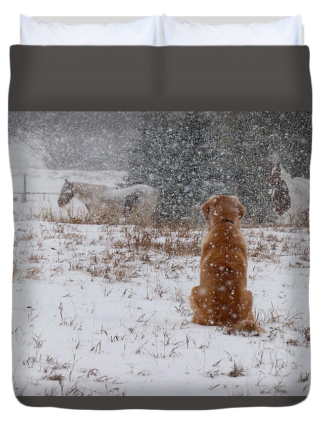 Snow Duvet Cover featuring the photograph Dog And Horses In The Snow by Karen Rispin