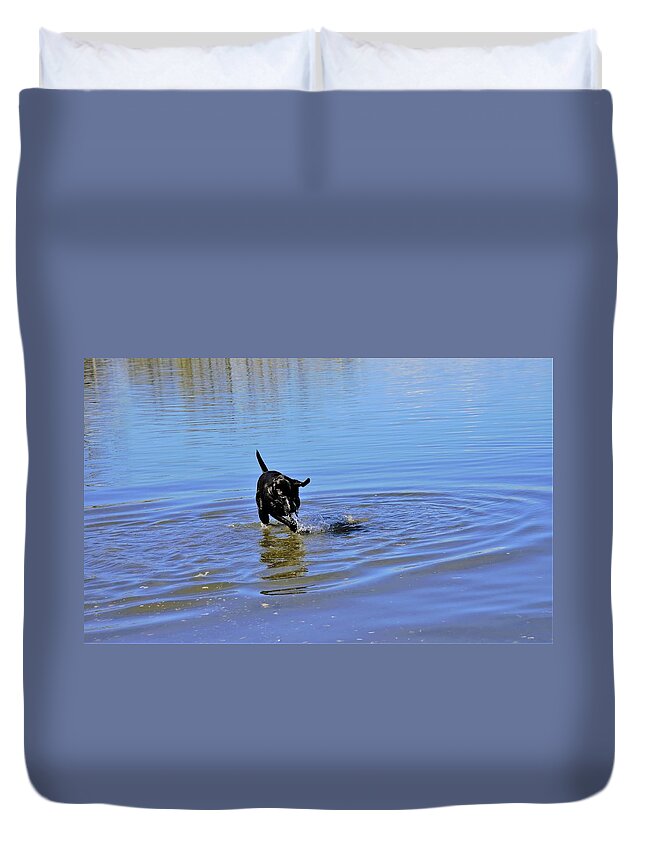 Lab Duvet Cover featuring the photograph Dog Days of Summer by James Cousineau