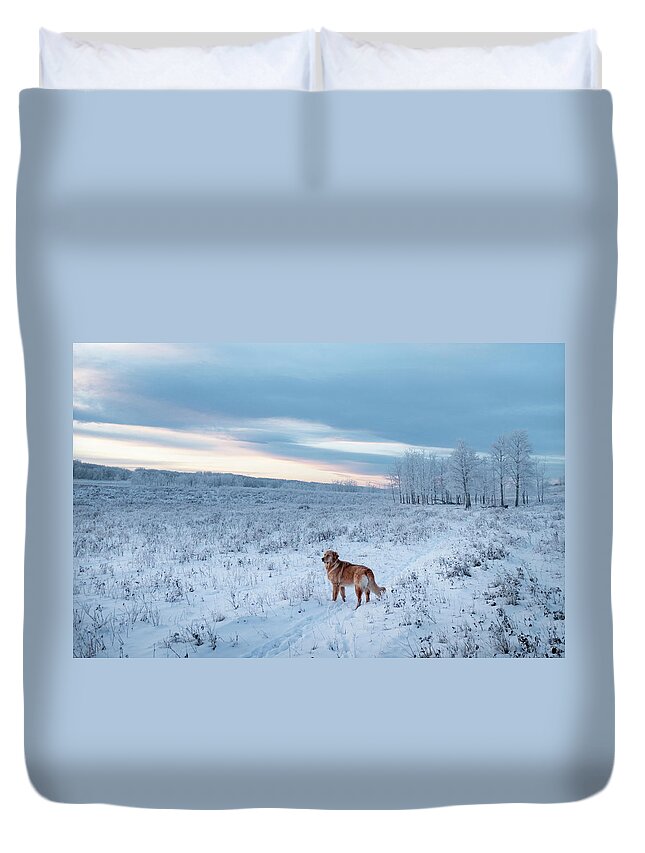 Dog Duvet Cover featuring the photograph Dog in an Alberta winter pasture by Karen Rispin
