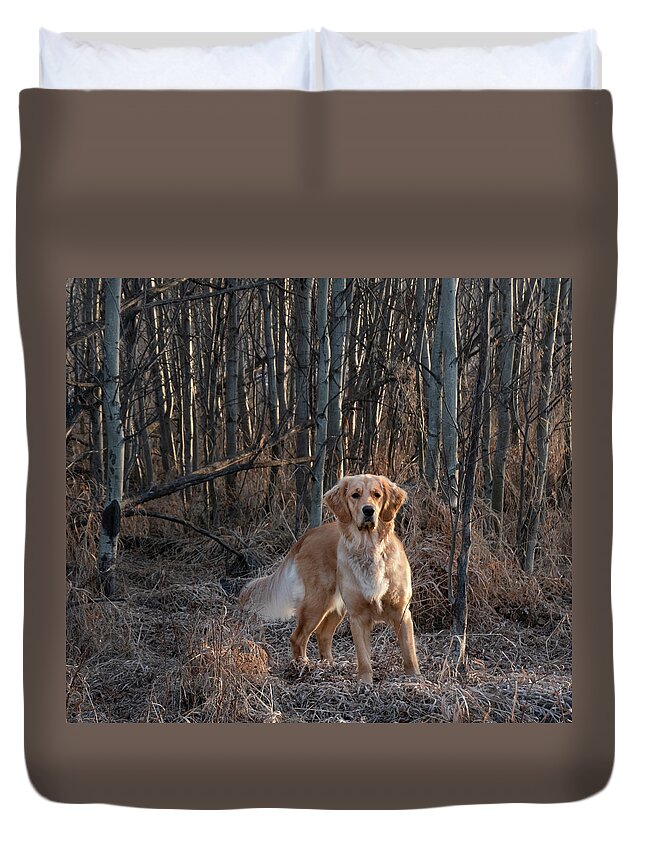 Dog Duvet Cover featuring the photograph Dog In The Woods by Karen Rispin