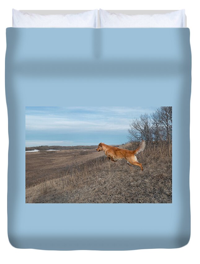 Leap Duvet Cover featuring the photograph Dog Leaping Down A Hill by Karen Rispin