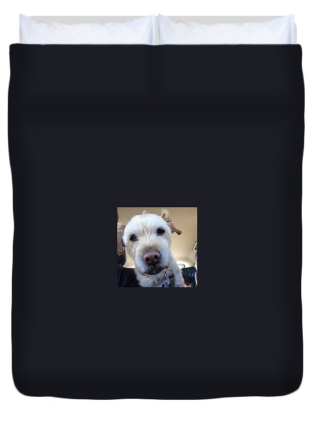 Dog Duvet Cover featuring the photograph Dogs Cruz With A Selfie by Thomas Woolworth