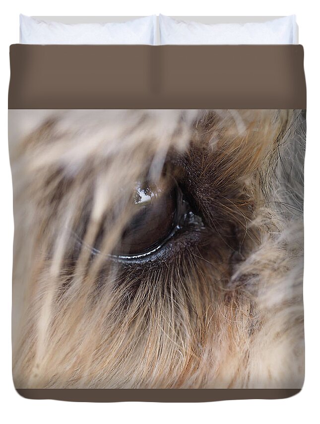 Dog Duvet Cover featuring the painting Dog's eye by Sv Bell