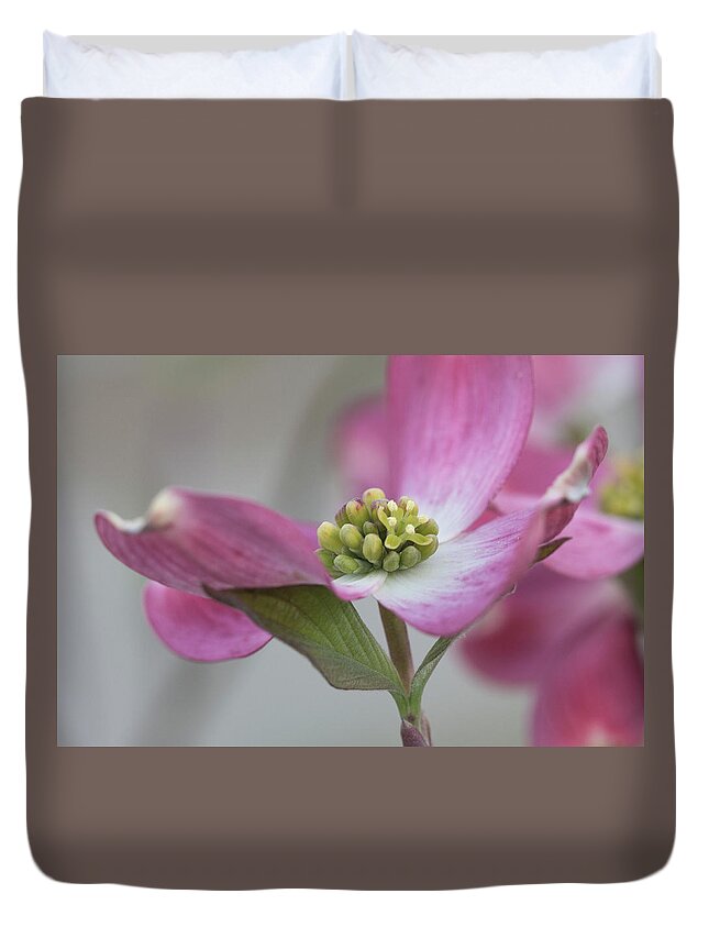 Flower Duvet Cover featuring the photograph Dogwood by David Beechum