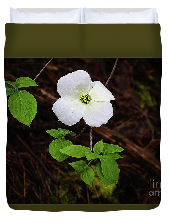  Duvet Cover featuring the photograph Dogwood by Vincent Bonafede