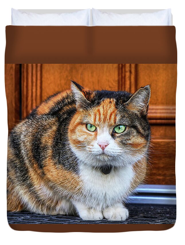 Liza Duvet Cover featuring the photograph Domestic angry cat sitting in front of entry door. Kitten is pissed off. Colourful Felis catus waiting on open door. Angry cat face. Green eye. Cat has small bell around neck by Vaclav Sonnek