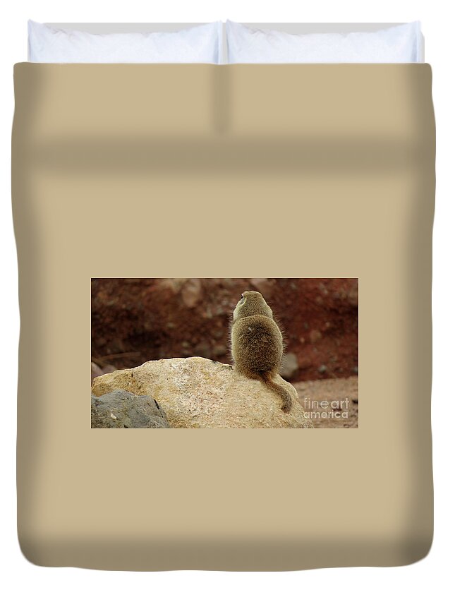 Animals Duvet Cover featuring the photograph Don't Talk To Me by Mary Mikawoz
