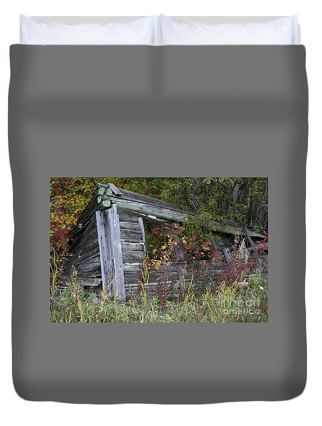 Colours Duvet Cover featuring the photograph Down and Out by Mary Mikawoz