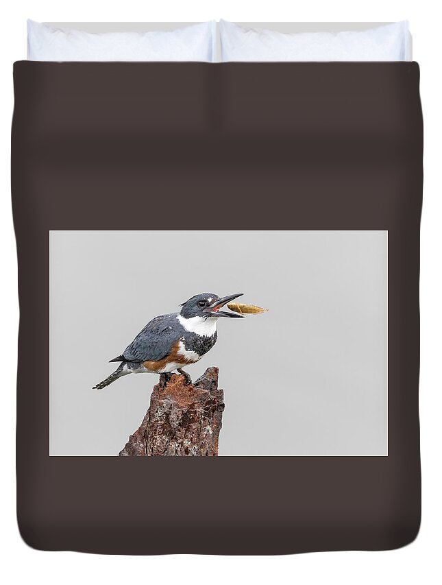 Kingfisher Duvet Cover featuring the photograph Down the Hatch by Jim Miller