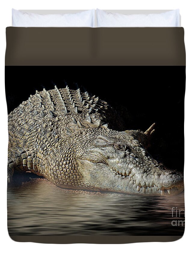 Crocodile Duvet Cover featuring the photograph Dozy Crocodile by Elaine Teague