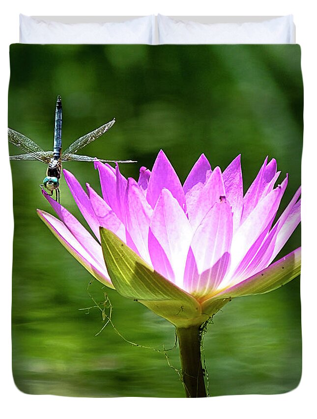 Dragonfly Duvet Cover featuring the photograph Dragon and Lily by Bill Barber