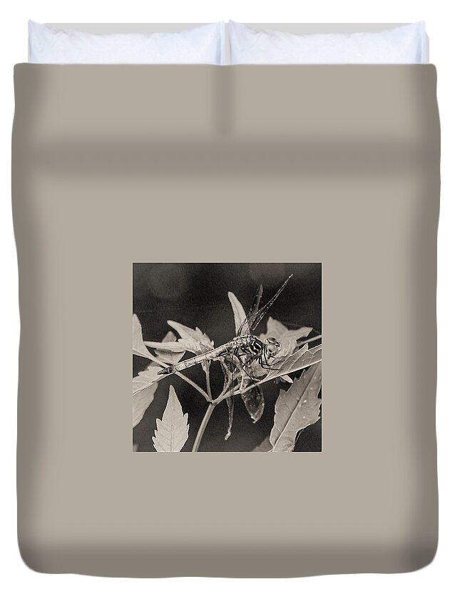 Dragon Fly Leaves Close Black White Duvet Cover featuring the photograph Dragon Fly by John Linnemeyer