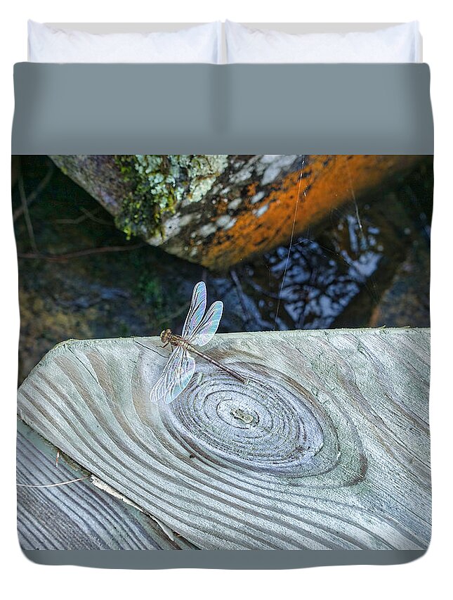 Dragonfly Duvet Cover featuring the photograph Dragon Fly with Rainbow Wings by Russel Considine