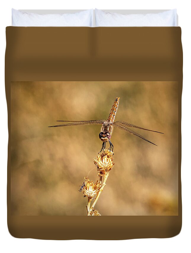 Dragonfly Duvet Cover featuring the photograph Dragonfly 2 by James Sage