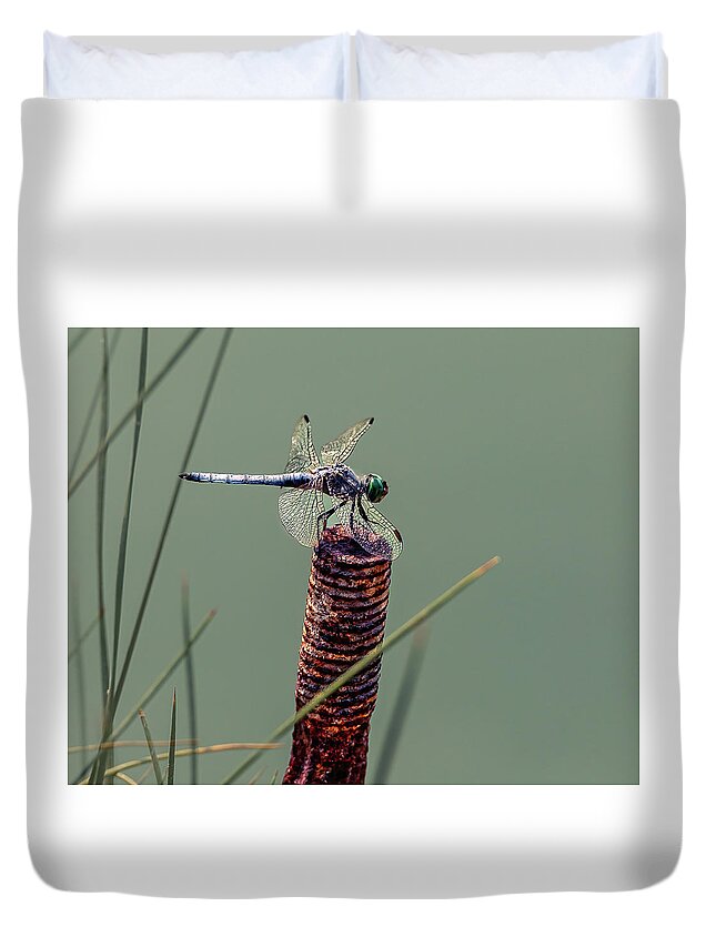 2021 Duvet Cover featuring the photograph Dragonfly 3 by James Sage