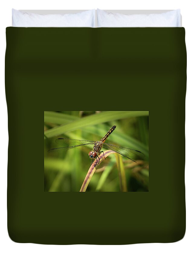 Dragonfly Duvet Cover featuring the photograph Dragonfly by David Morehead