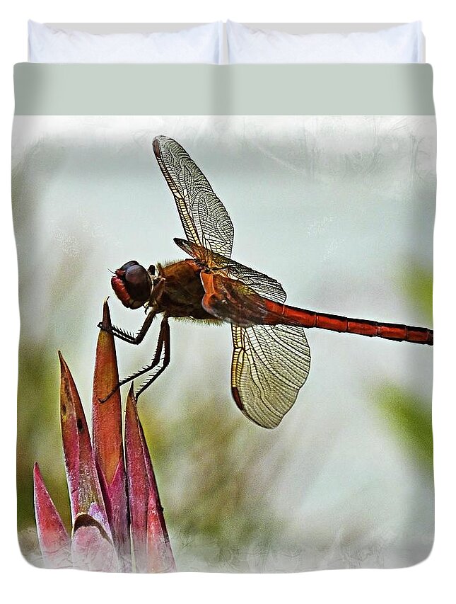 Dragonfly Duvet Cover featuring the photograph Dragonfly with vignette by Bill Barber