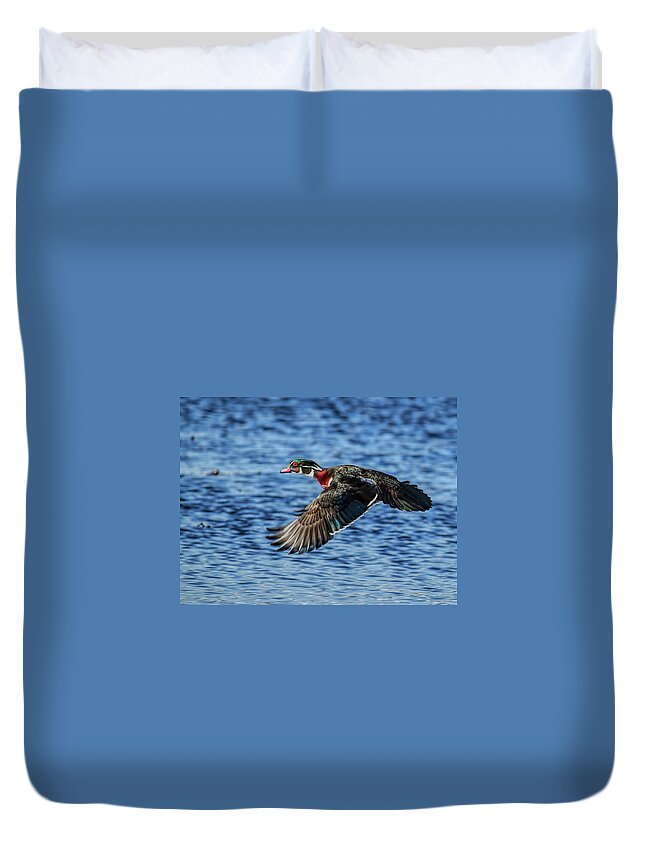 Waterfowl Duvet Cover featuring the photograph Drake Wood Duck In Flight by Dale Kauzlaric