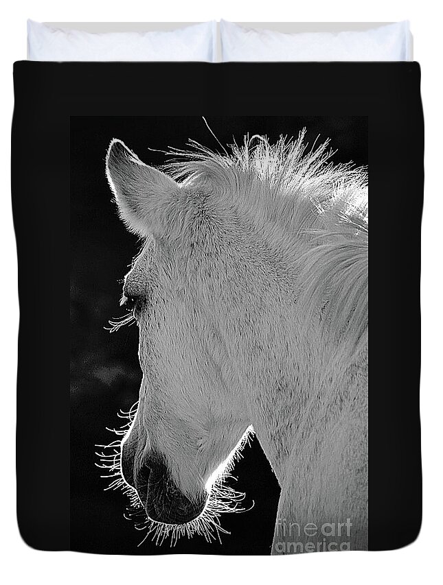 Salt River Wild Horse Duvet Cover featuring the digital art Dreamer by Tammy Keyes