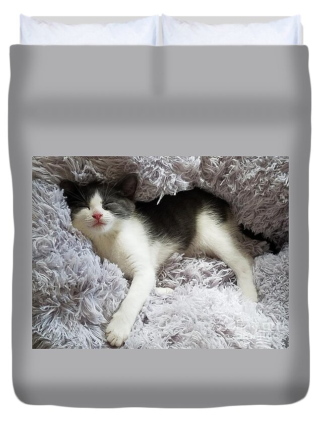 Kittens Duvet Cover featuring the photograph Dreamland by Jimmy Chuck Smith