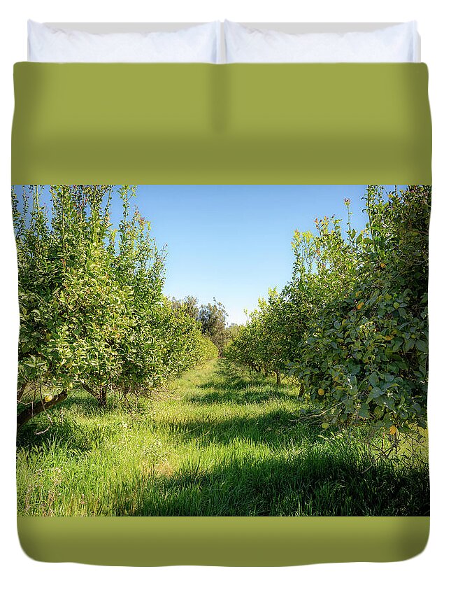 Lemon Trees Duvet Cover featuring the photograph Dreamy Lemon Afternoon by Mike-Hope