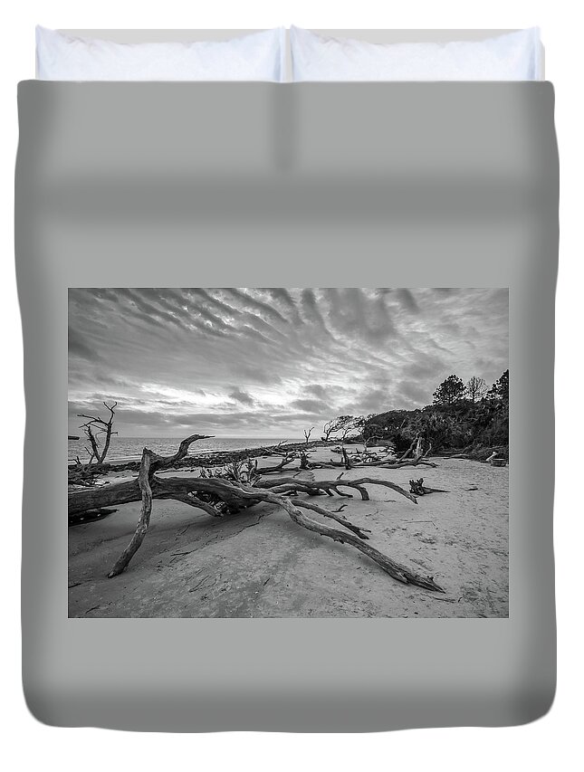 3-nature Duvet Cover featuring the photograph Drift wood beach photograph by Louis Dallara