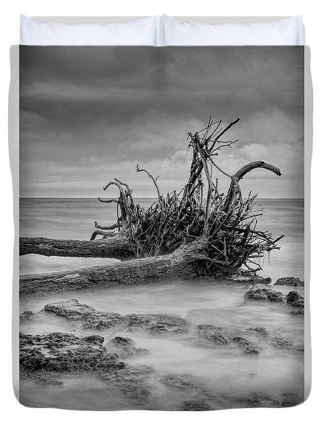 Black Duvet Cover featuring the photograph Driftwood Beach in Black and White by Carolyn Hutchins