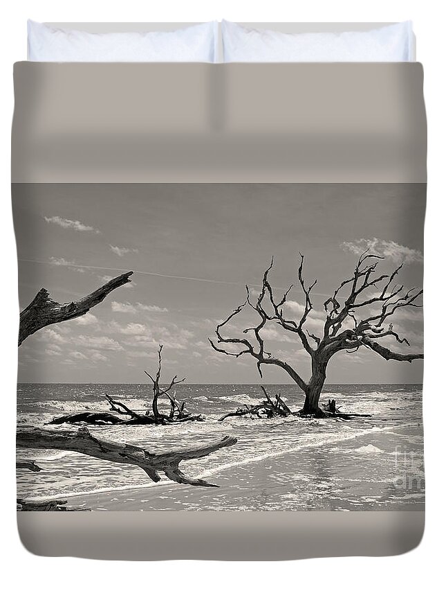 Tree Duvet Cover featuring the photograph Driftwood Beach in sepia by Mary Haber
