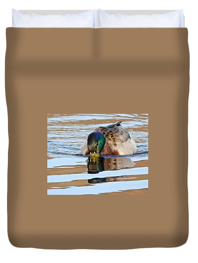 Duck Duvet Cover featuring the photograph Drinking It All In by Lori Lafargue