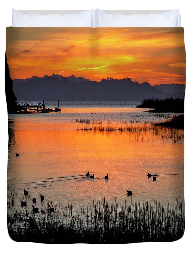 Ducks Duvet Cover featuring the photograph Ducks at sunrise, San Pablo Bay by Donald Kinney